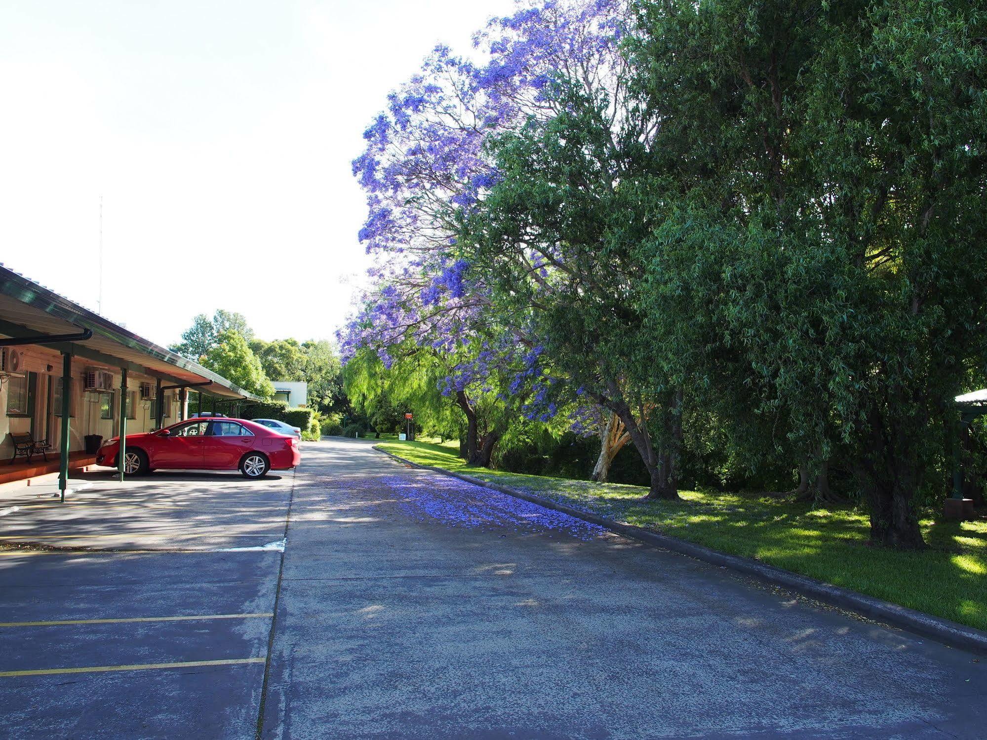 Solomon Inn Motel Figtree Wollongong Exterior foto
